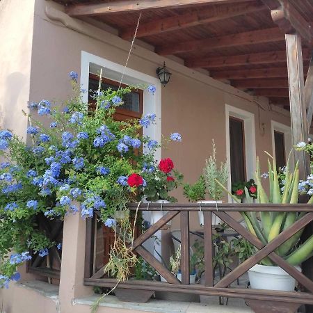 Plumbago Apartment Theologos  Exterior foto